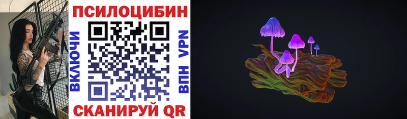 наркошоп  Ладушкин  Галлюциногенные грибы мицелий 